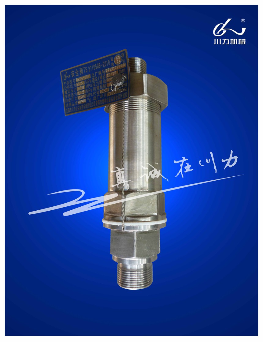 壓縮機(jī)安全閥.jpg